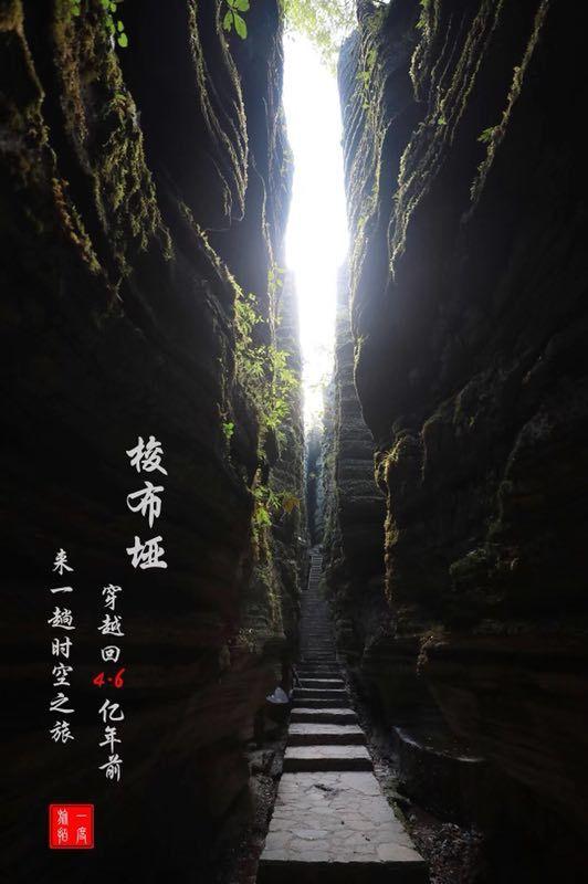 拯救昆虫群